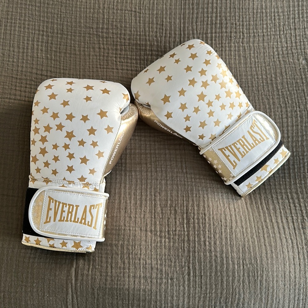 NWOB everlast leather boxing gloves